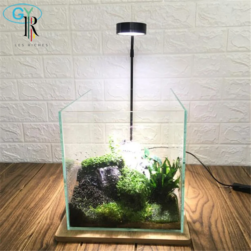 Dimmable USB LED Plant Light - 5W Gooseneck Design, Perfect for Aquariums & Terrariums