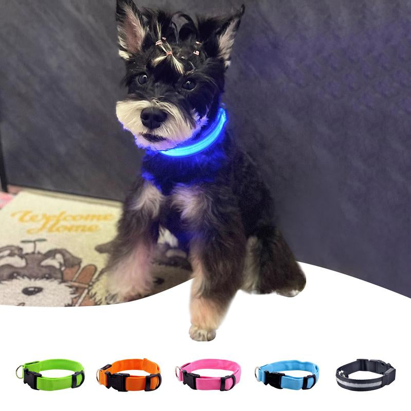 Glow Guard Pet Safety Collar - LED Lights with USB Rechargeable and Nylon Material, for All Dogs & Cats Lightup Collar